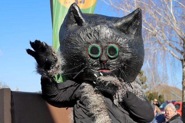 Narrentreiben 2025 (Fotos Rochus Hetzendorfer)